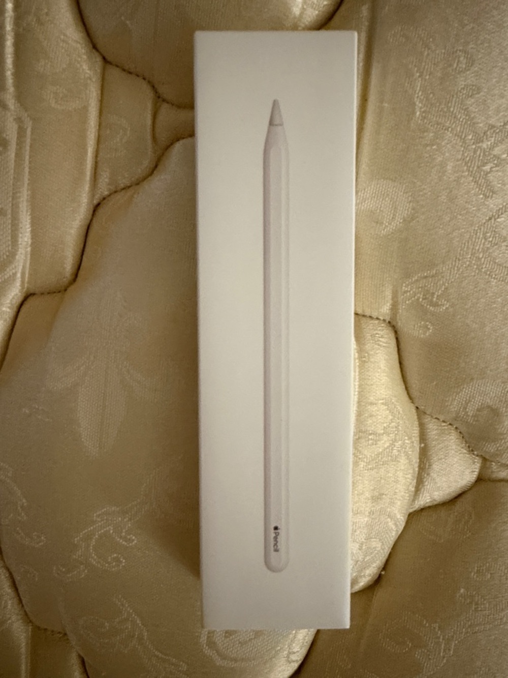 Apple Pencil - White
